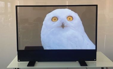 صفحه نمایش شفاف Ultra Thin OLED برای تبلیغات داخلی